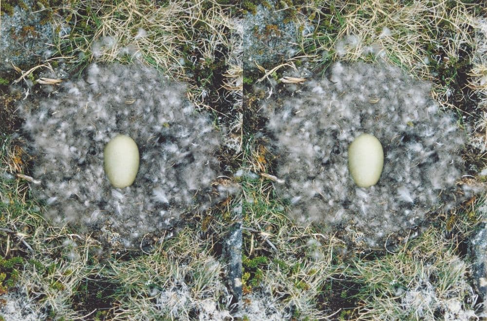 Roni Horn | Valuation, Buy, Sell at Auction