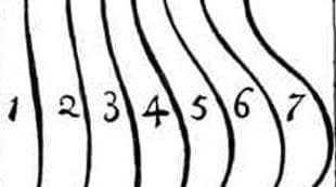 Serpentine lines from William Hogarth's The Analysis of Beauty