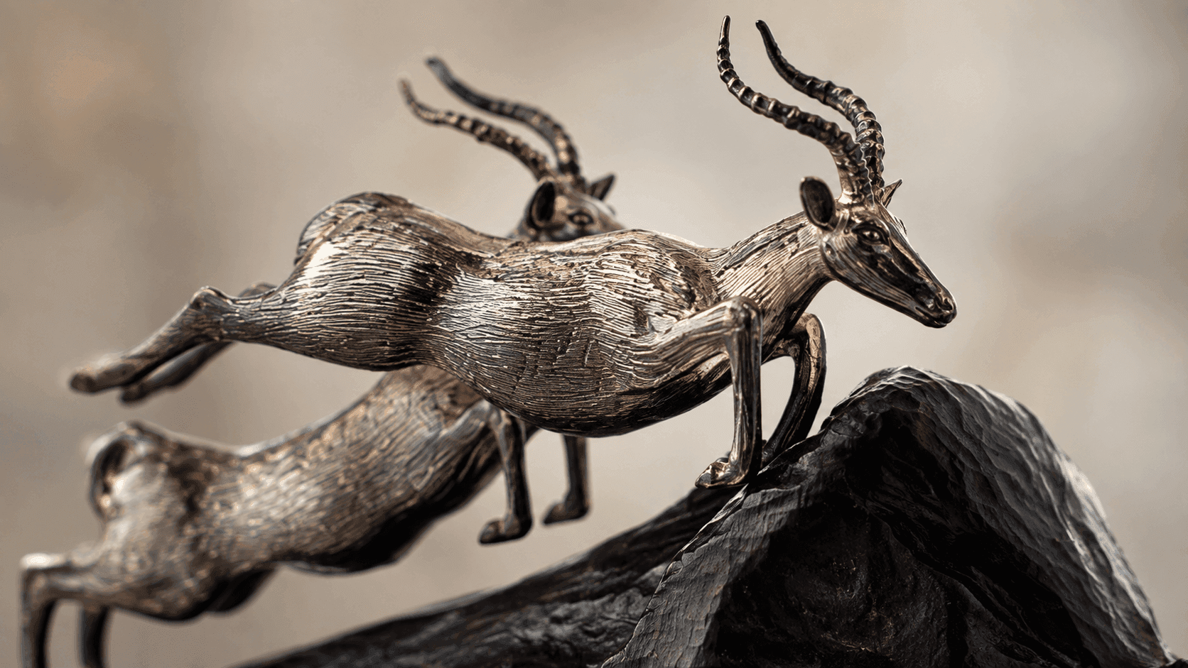 Patrick Mavros: Silver Inspired by the Natural World