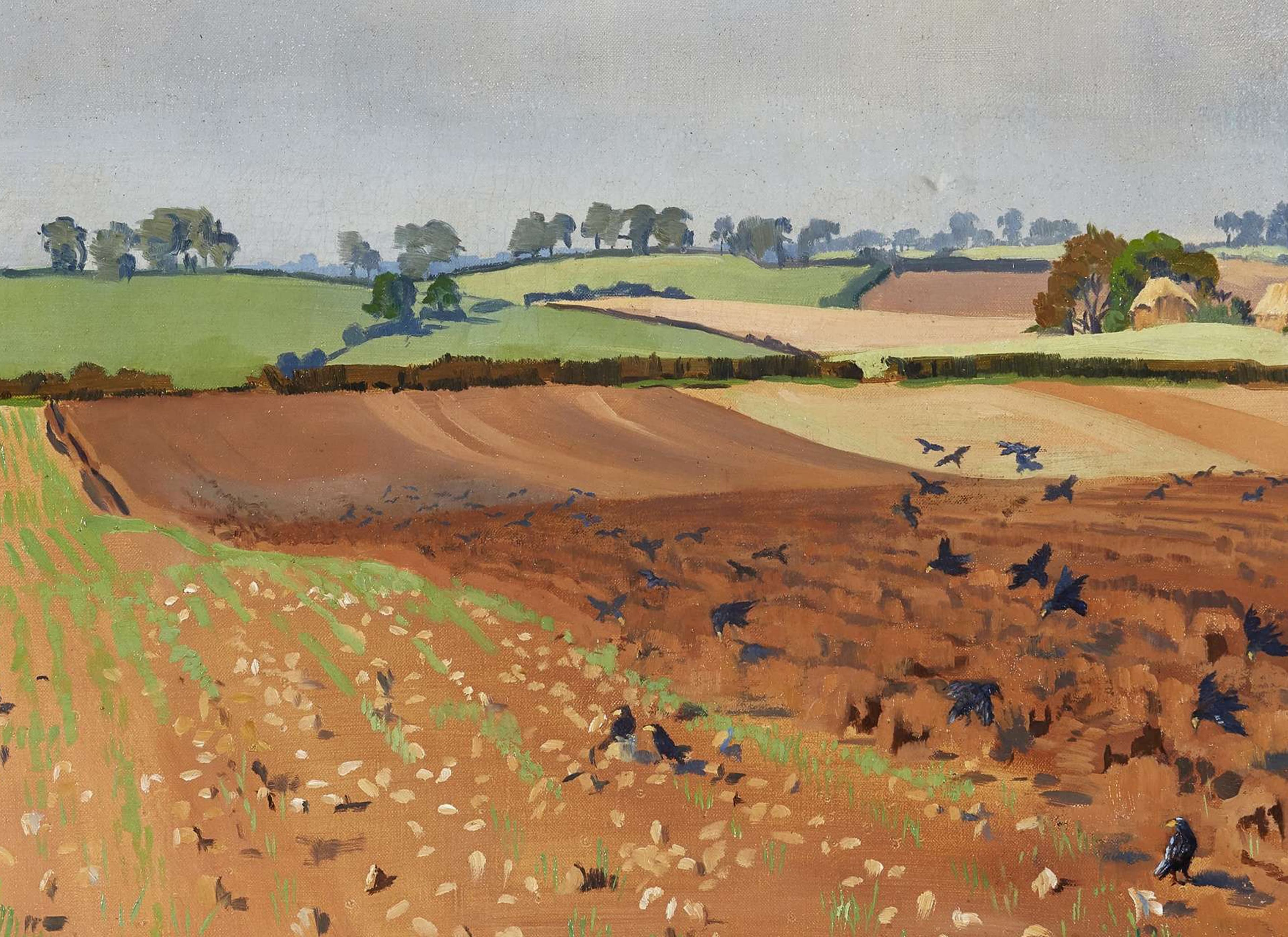 Codrington