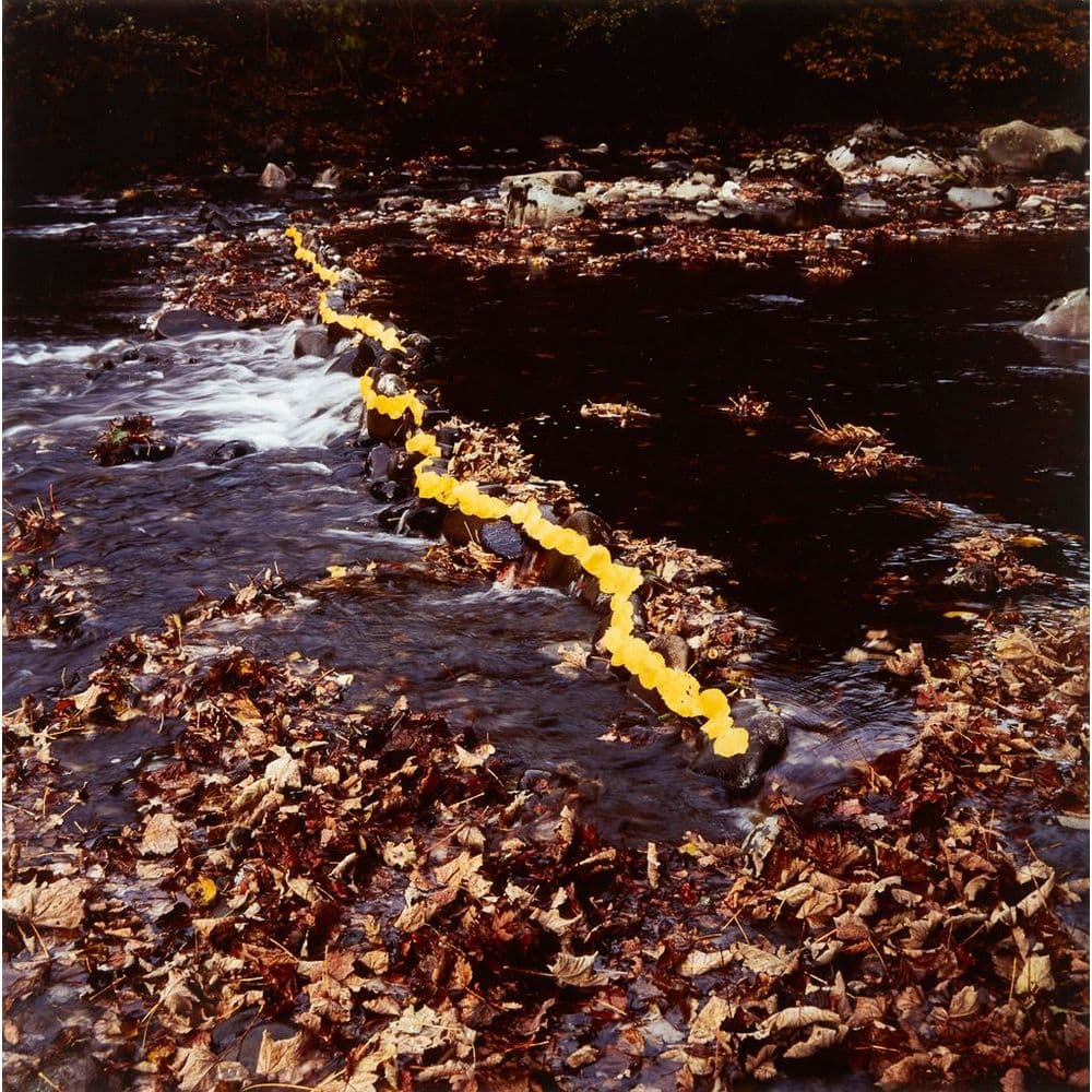 Andy Goldsworthy | Valuations, Buy, Sell at Auction