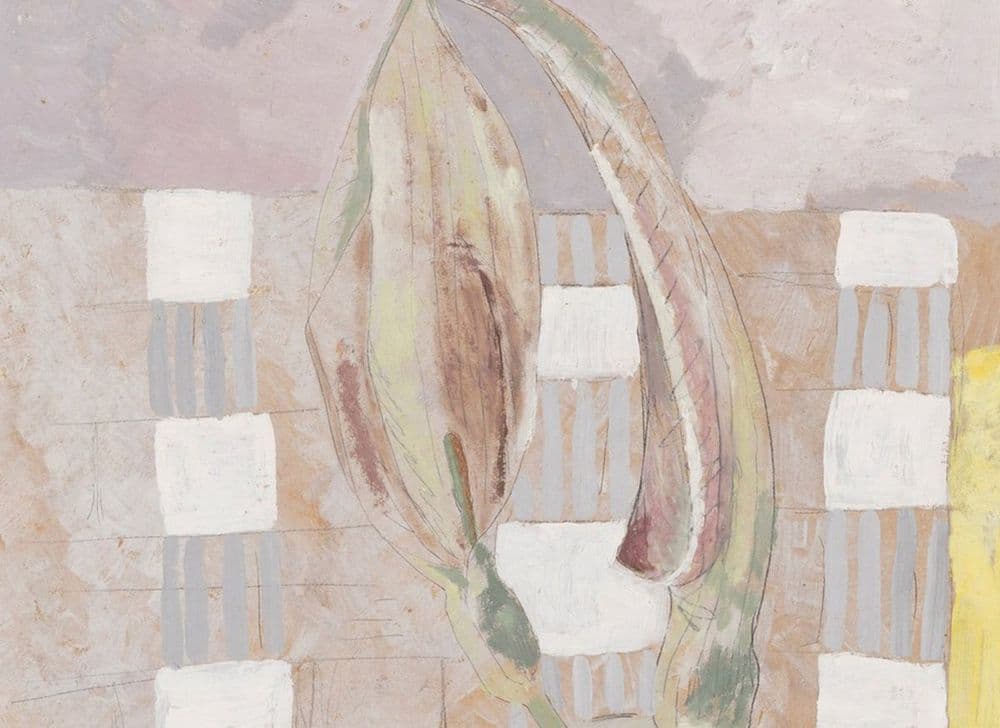 Kate Nicholson | British 1929 - 2019