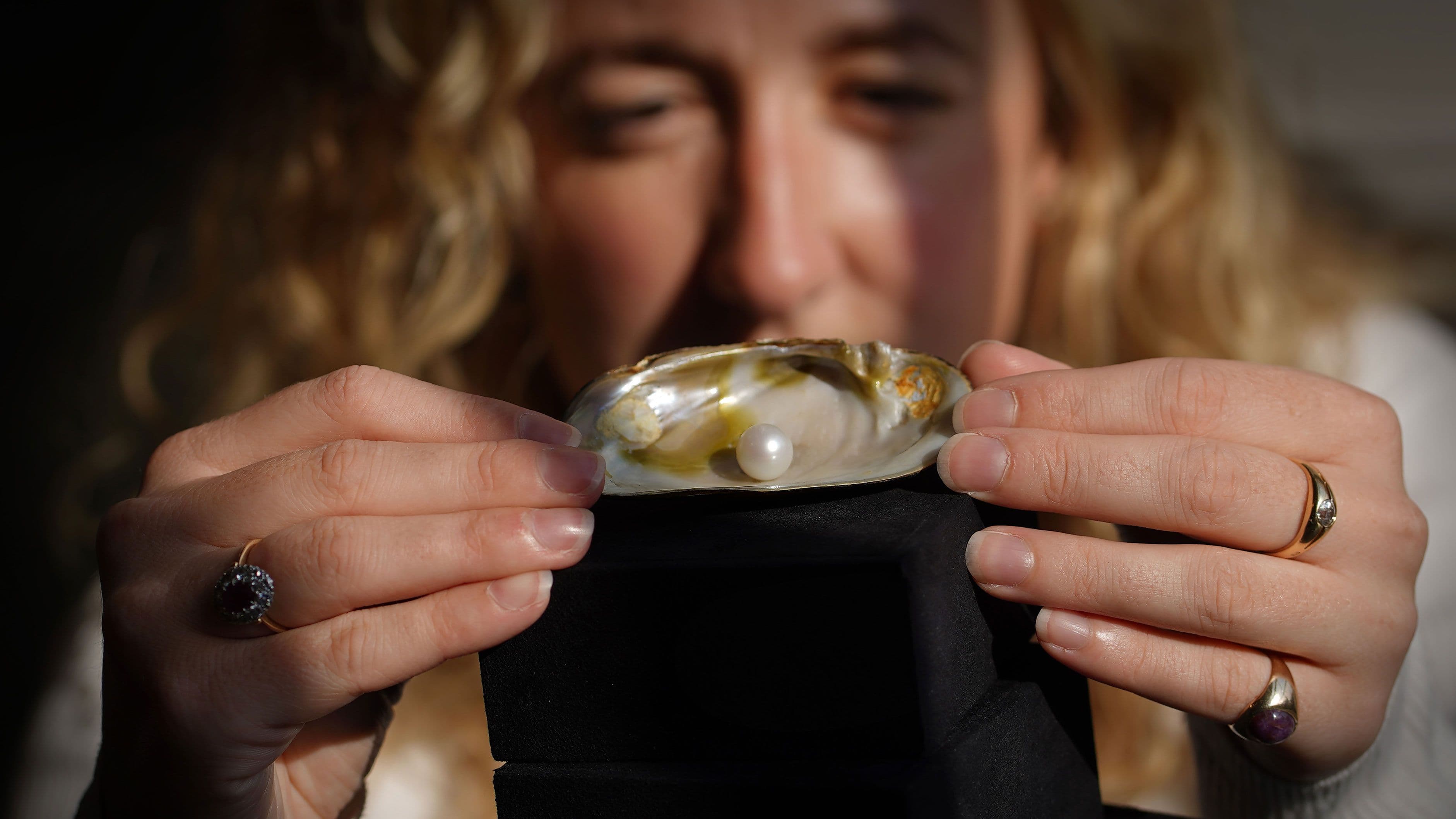 Press, PR & News | Lyon & Turnbull Auctions