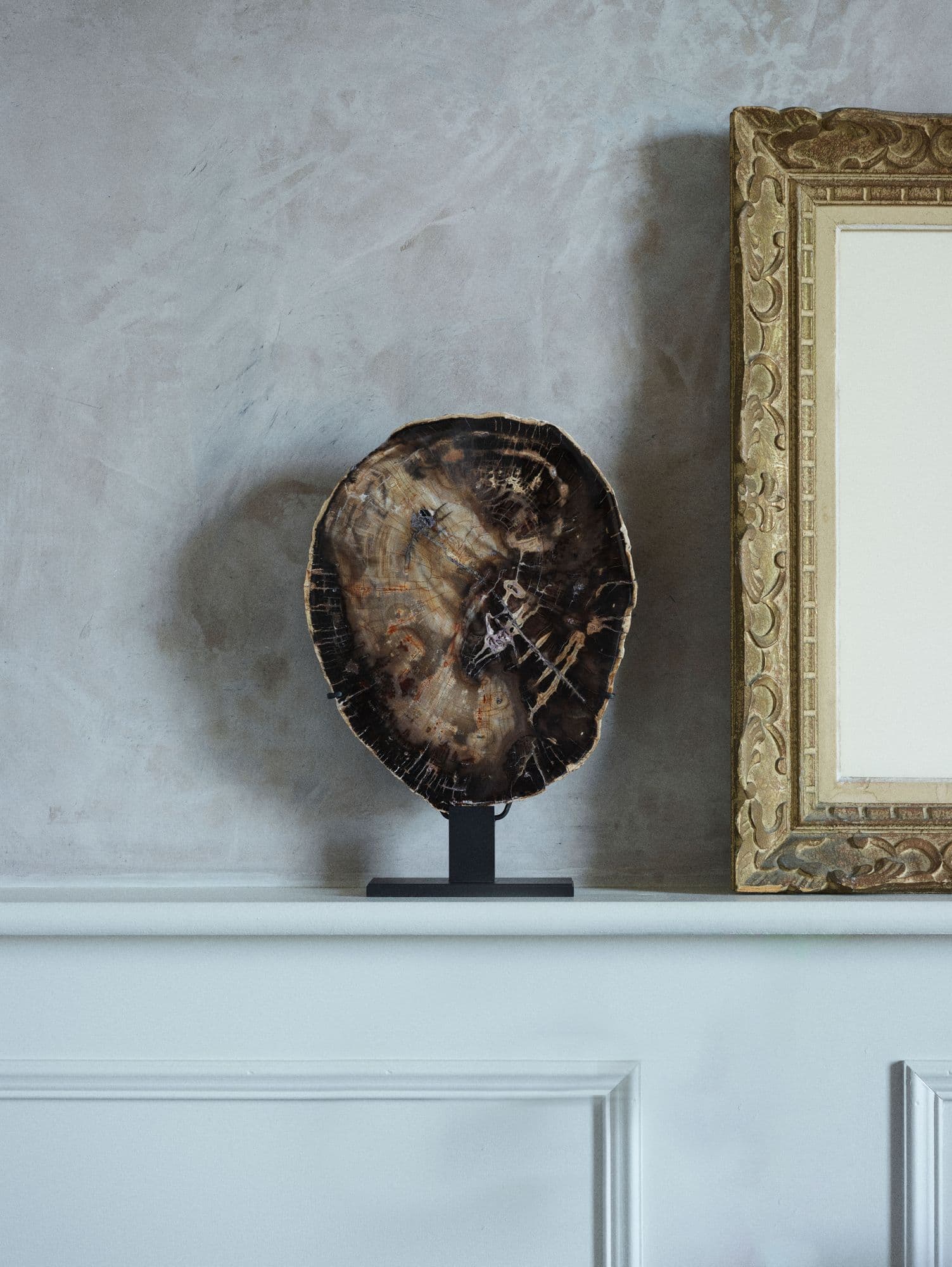 Online Meteorite and Fossil Auctions